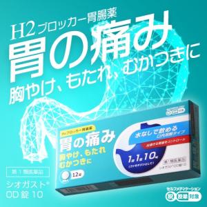 水無しで飲めるファモチジン シオガスト 12錠 胃の痛みに