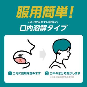 『シオガスト OD錠10 12錠』|ガスターと...の詳細画像3