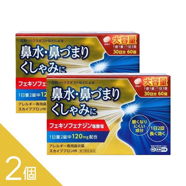 【第2類医薬品】『スカイブブロンHI 60錠 2個セット』 眠くなりにくい鼻炎薬 【税制対象商品】☆