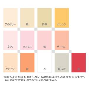 色上質紙 特厚口 約B4 50枚の詳細画像2