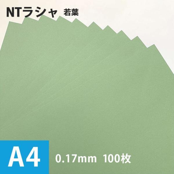NTラシャ 紙 若葉 116g/平米 A4サイズ：100枚 ntラシャ 色 紙厚 印刷 用紙 画用紙...