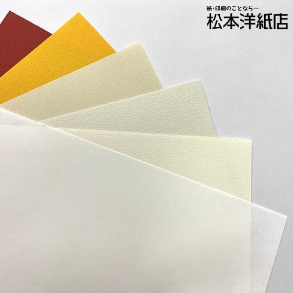 タント A5サイズ：サンプルセット