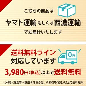 エーワン A-one 紙の専門店 松本洋紙店 ...の詳細画像2