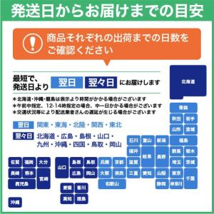 エーワン A-one 紙の専門店 松本洋紙店 ...の詳細画像4