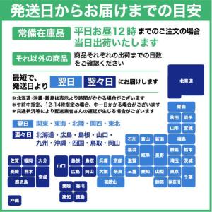 色上質紙 中厚口 0.09mm B1サイズ:2...の詳細画像4