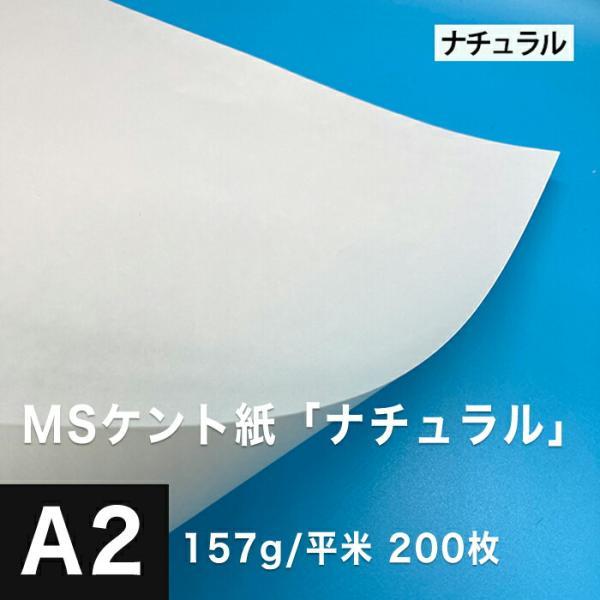 ケント紙 a2 MSケント紙 ナチュラル 157g/平米 A2サイズ：200枚 画用紙 白 ラッピン...