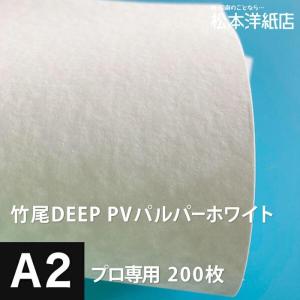 竹尾 DEEP PV パルパー ホワイト A2サイズ：200枚 竹尾 紙 絵画紙 水彩紙 印刷紙 写真印刷用紙 インクジェット用紙｜paper