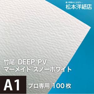 竹尾 DEEP PV マーメイド スノーホワイト A1サイズ：100枚 竹尾 紙 絵画紙 水彩紙 印刷紙 写真印刷用紙 インクジェット用紙｜paper