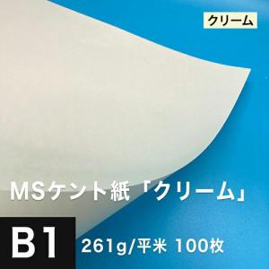 ケント紙 全紙 MSケント紙 ナチュラル 104.7g/平米 全紙サイズ 1091