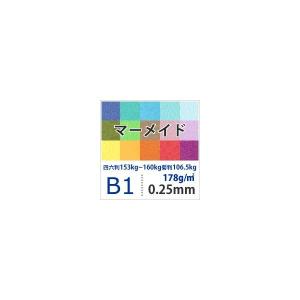 マーメイド 178g/平米 0.25mm B1サイズ：25枚 送料実費｜paper