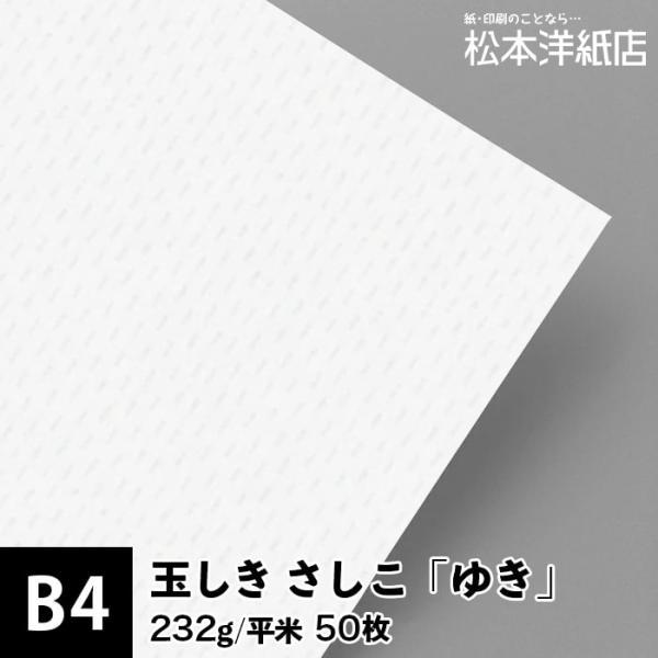 玉しき さしこ 「ゆき」 232g/平米 0.34mm B4サイズ：50枚 印刷紙 印刷用紙 松本洋...