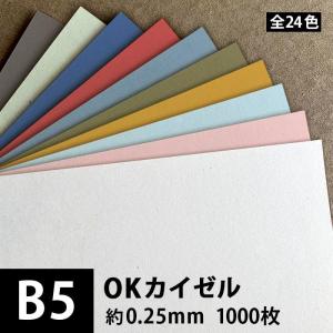 OKカイゼル 180g/平米 0.25mm B5サイズ：1000枚 色紙 いろがみ 色画用紙 印刷紙 印刷用紙 カラーペーパー 和紙風コピー用紙｜paper