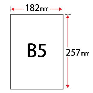 PHO 209.4g/平米 B5サイズ：800枚 印刷紙 印刷用紙 松本洋紙店｜paper