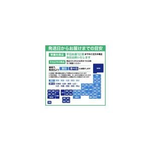 NTラシャ A4サイズ:5枚(お試し用紙なので...の詳細画像5