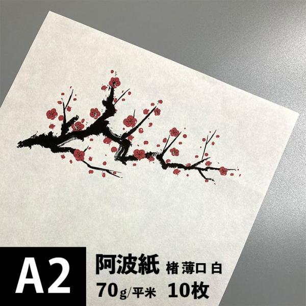 和紙 印刷用紙 阿波紙 楮 薄口 白 70g/平米 A2サイズ：10枚 印刷できる 和紙 コピー用紙...