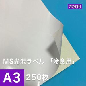 MS光沢ラベル「冷食用」 A3サイズ：250枚 印刷紙 印刷用紙 松本洋紙店｜paper