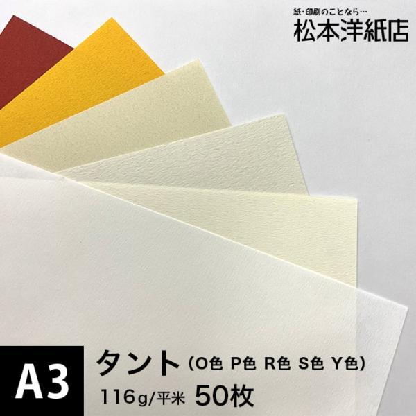タント (O色・P色・R色・S色・Y色) 116g/平米 A3サイズ：50枚