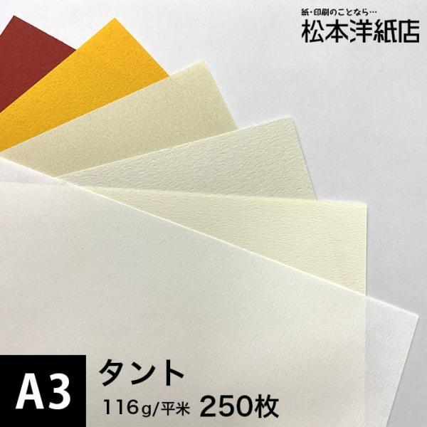 タント 116g/平米 A3サイズ：250枚 印刷紙 印刷用紙 松本洋紙店