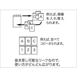 LIHIT リヒト AQUA DROPs 専用...の詳細画像2