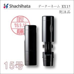 データーネームEX 15号　別注品・キャップ式　ポスト投函配送対応