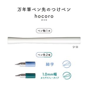 SAILOR   セーラー 万年筆ペン先のつけペン　hocoro　ダブル　ポスト投函配送対応