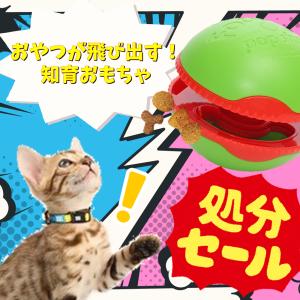 在庫処分品につき大特価 ペット用おもちゃ エルシック ポップショット 猫 猫用 おもちゃ 玩具 知育 フード おやつ｜paphilus