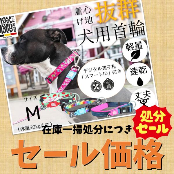 アウトレット特価 犬用首輪 マックス＆モーリー M 丈夫 軽量 速乾 迷子札 デジタル迷子札 おしゃ...