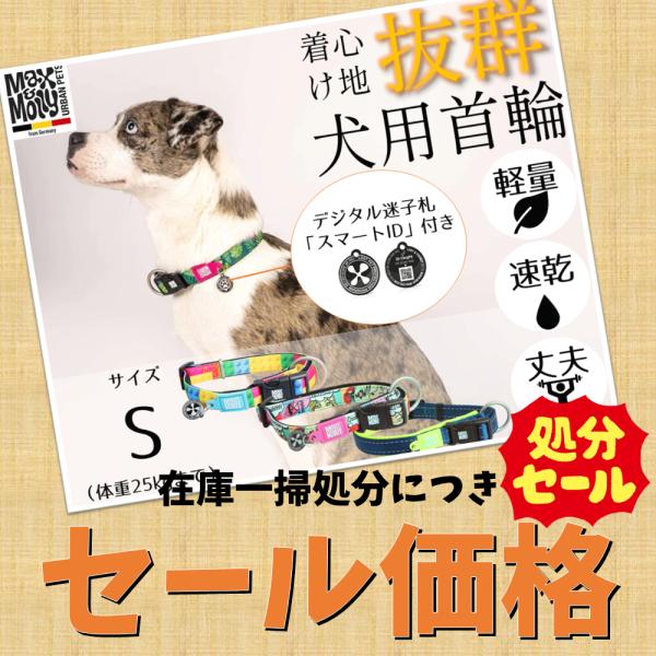 アウトレット特価  犬用首輪 マックス＆モーリー S 丈夫 軽量 速乾 迷子札 デジタル迷子札 おし...