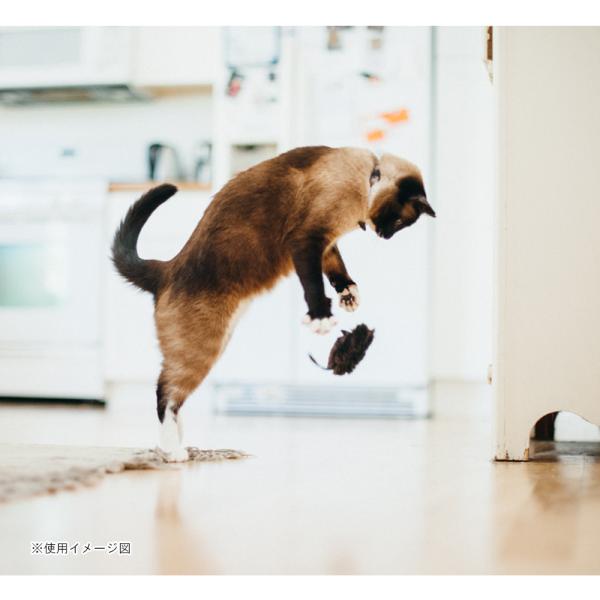 猫用おもちゃ 6687 プレイ フィーラインフレンジー マウス ２個セット　猫用　キャットニップ　可...