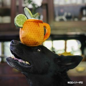 犬用おもちゃ プレイ バークテンダー モスコミュール 犬 玩具 おもちゃ 音が鳴る おしゃれ 人気 おすすめ ストレス発散 噛む デンタル