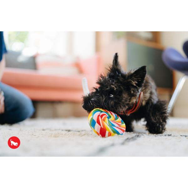 犬用おもちゃ プレイ スナックアタック ロリポップ 犬 ぬいぐるみ 丈夫 遊び 生地 長持ち おもち...