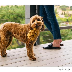 犬用おもちゃ プレイ パップカップカフェ クッキ...の商品画像