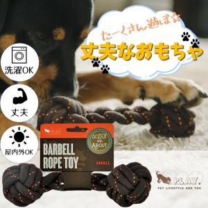 D+pets ディーペッツ Oral Force1 10g×10包 犬用 口腔環境 おやつ 歯周
