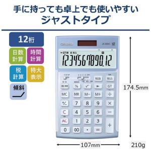 CASIO（カシオ） カシオ計算機 デスク型本格実務電卓 DS−12WT