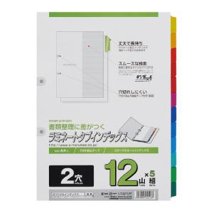 maruman（マルマン） ファイル用仕切カード ラミネートインデックス