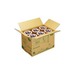カウネット 布テープ 無包装タイプ 1箱（30巻） 4216-2100 : 文具屋