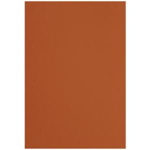 カウネット 色画用紙　八つ切　茶　１０枚 4212-2784