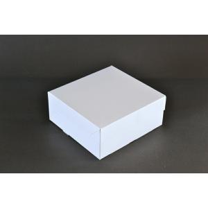 PC-カラー65ホワイト 4号(1セット10枚入)