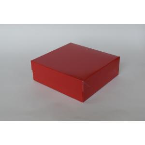 PC-カラー65ルージュ 5号（1セット10枚入）