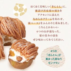 銀のぶどうの鈴なりモンブラン 1箱(6カット)...の詳細画像2