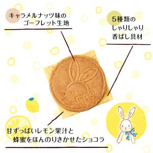 鎌倉レモンサンドだょ 5個入 | 退職 お菓子...の詳細画像4