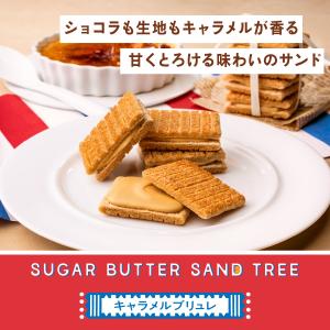 シュガーバターサンドの木 キャラメルブリュレ ...の詳細画像1