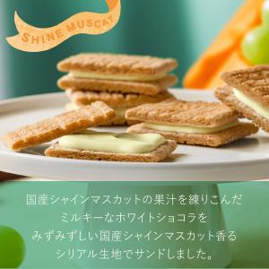シュガーバターサンドの木 シャインマスカットシ...の詳細画像3