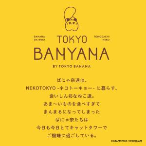 東京ばにゃ奈ザックサンド チョコバナナ味 5個...の詳細画像2