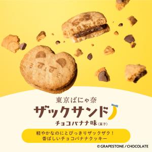 東京ばにゃ奈ザックサンド チョコバナナ味 5個...の詳細画像4