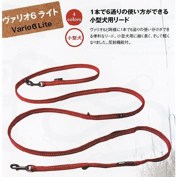 ヴァリオシックスライト