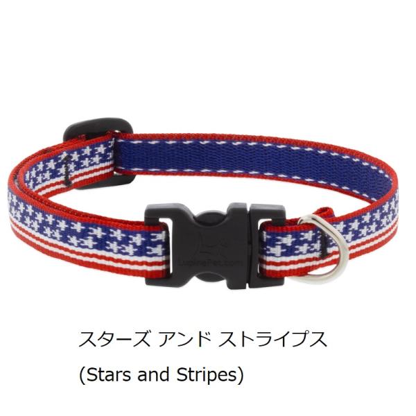 【限定色】ルパイン ワンタッチカラー Sサイズ(首回り16-22cm・21-30cmｘ12mm幅)