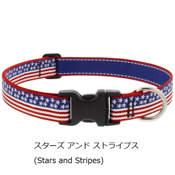 【限定色】ルパイン ワンタッチカラー Lサイズ(首回り31-50cm・41-71cmｘ25mm幅)