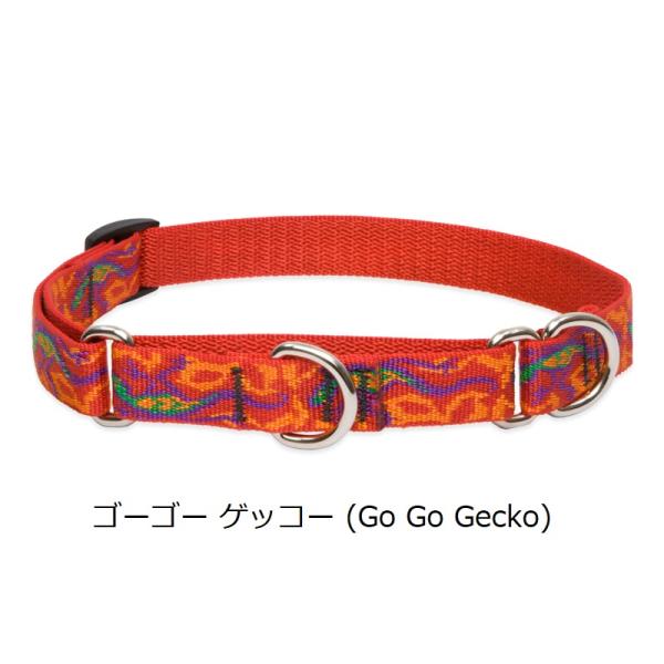 ルパイン コンボカラー Mサイズ(首回り26-35cm・36-51cmｘ幅19mm)