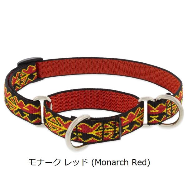 【限定色】ルパイン コンボカラー Mサイズ(首回り26-35cm・36-51cmｘ幅19mm)